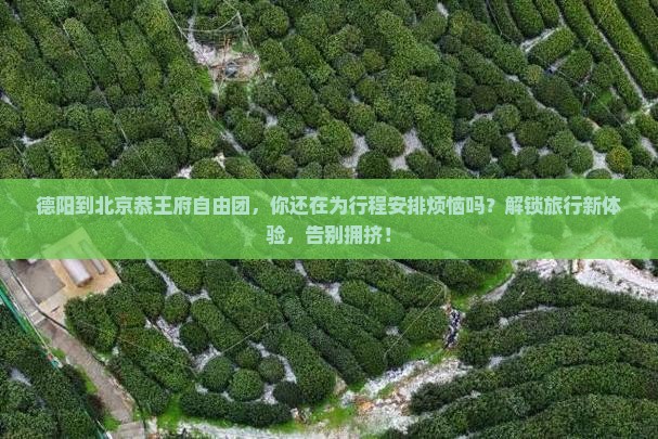 德阳到北京恭王府自由团