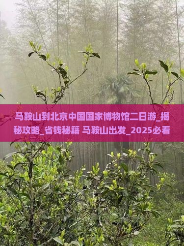 马鞍山到北京中国国家博物馆二日游