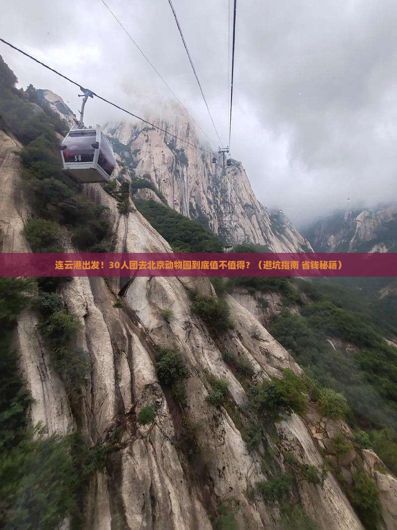 连云港去北京动物园大型旅游团