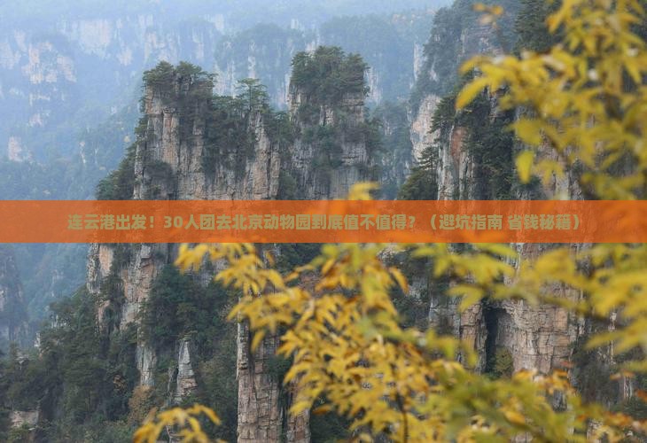 连云港去北京动物园大型旅游团