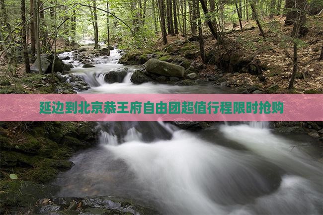 延边到北京恭王府自由团