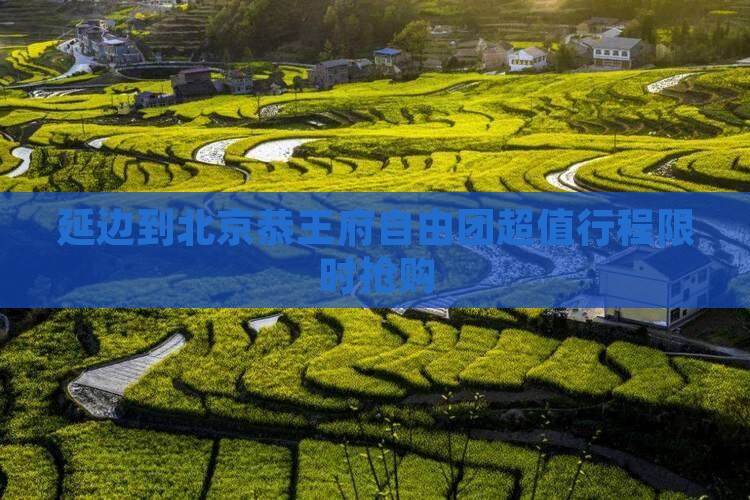 延边到北京恭王府自由团