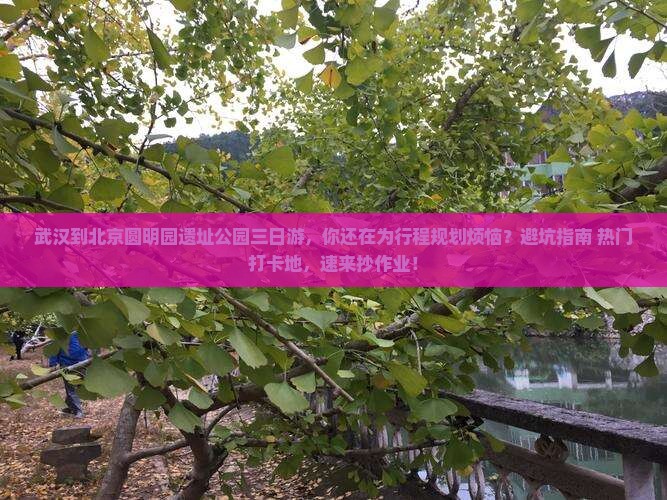 武汉到北京圆明园遗址公园三日游