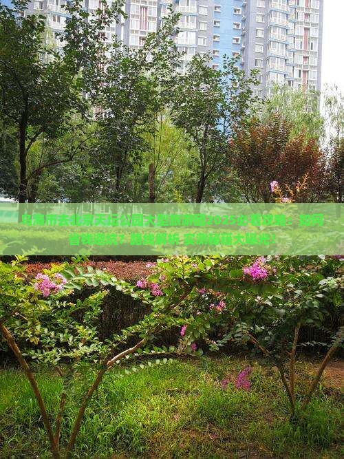 乌海市去北京天坛公园大型旅游团