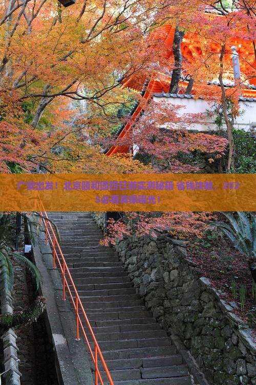 广安去北京颐和园四日游
