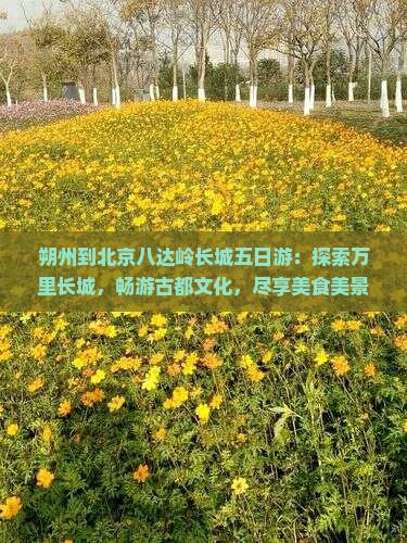 朔州到北京八达岭长城五日游