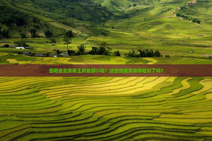 岳阳去北京恭王府旅游小吃