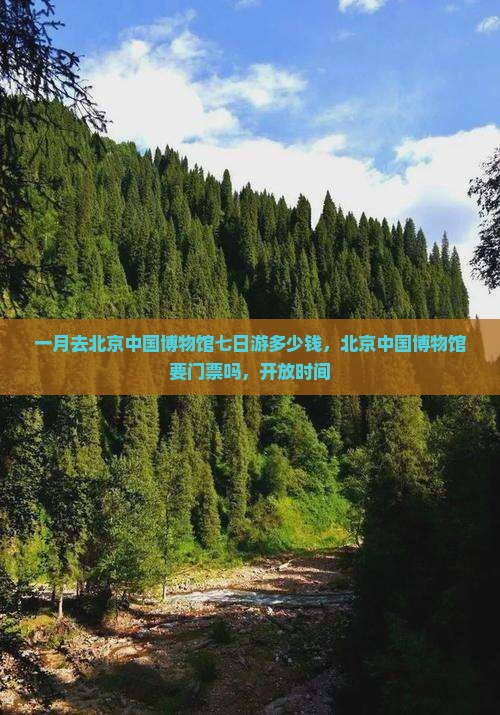一月去北京中国国家博物馆七日游