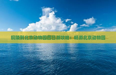 铜陵到北京动物园四日游
