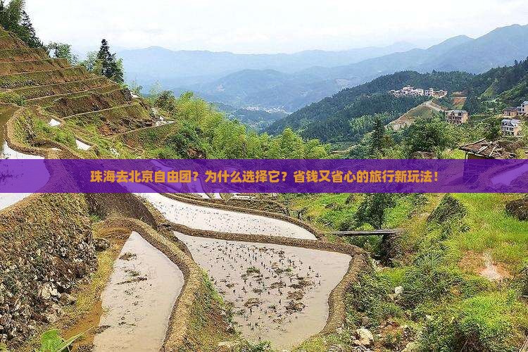 珠海去北京自由团