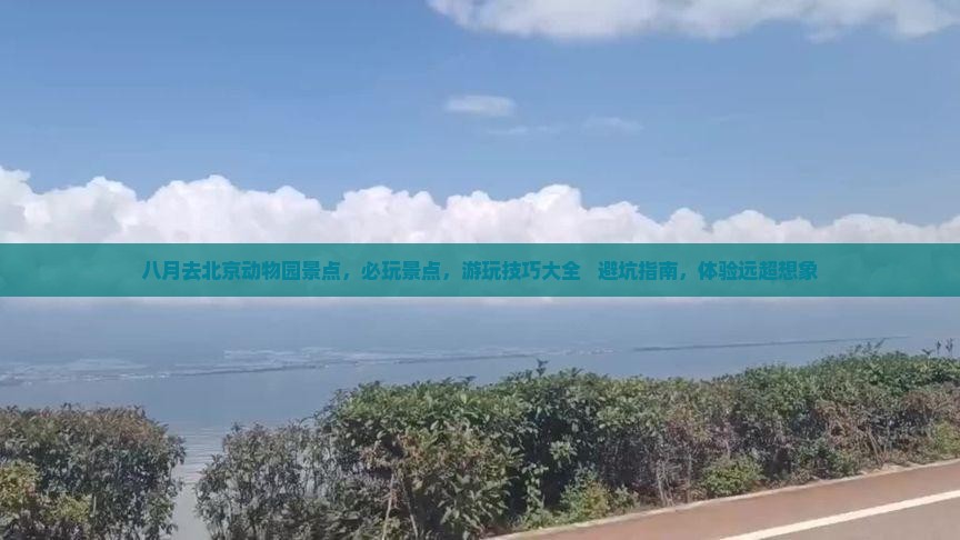八月去北京动物园景点