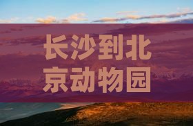 长沙到北京动物园三日游