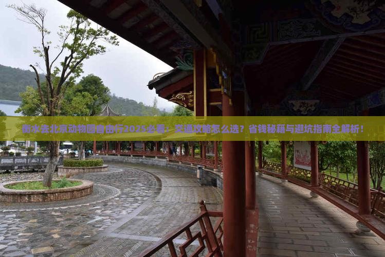 衡水去北京动物园自由行