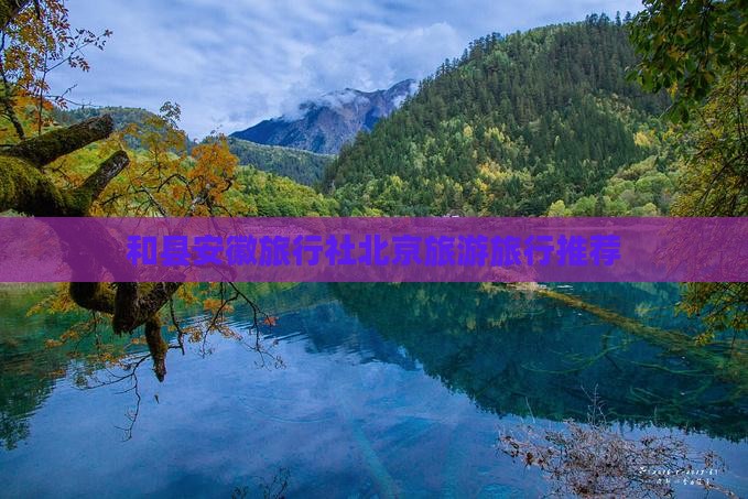 和县去北京旅行社