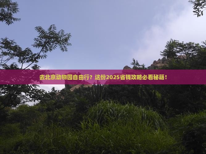 国庆节去北京动物园自由行