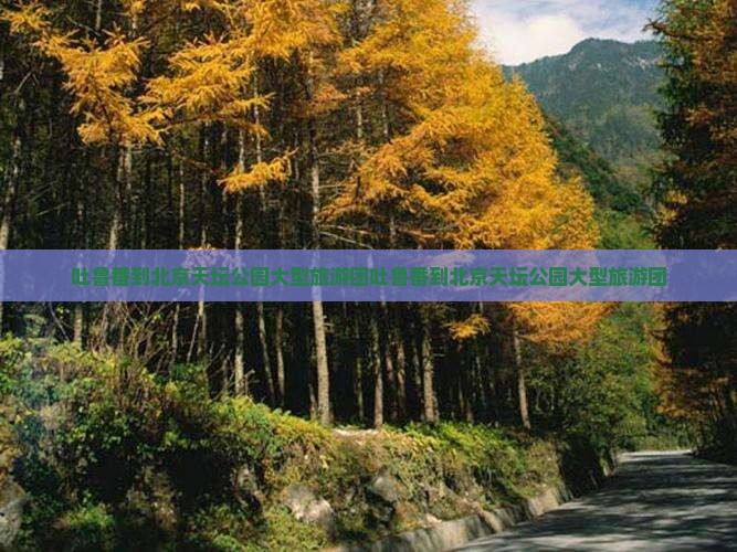 吐鲁番到北京天坛公园大型旅游团