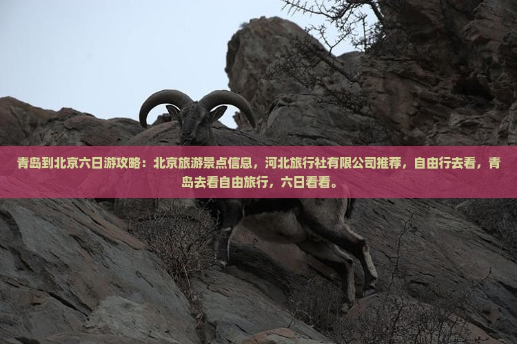 青岛到北京六日游