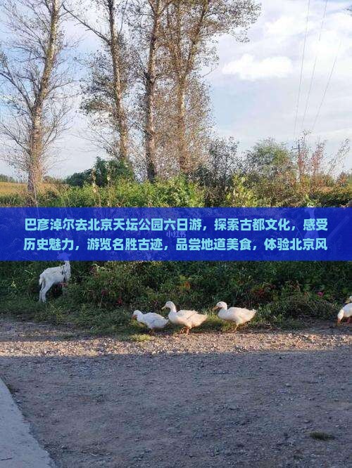 巴彦淖尔去北京天坛公园六日游
