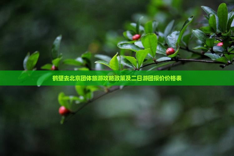 鹤壁去北京团体旅游