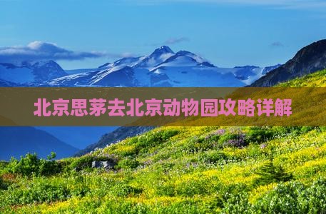 思茅去北京动物园攻略