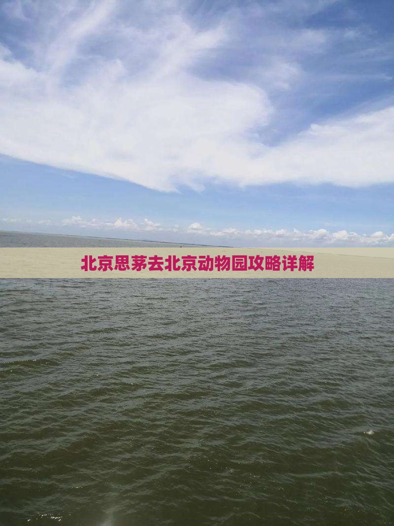 思茅去北京动物园攻略