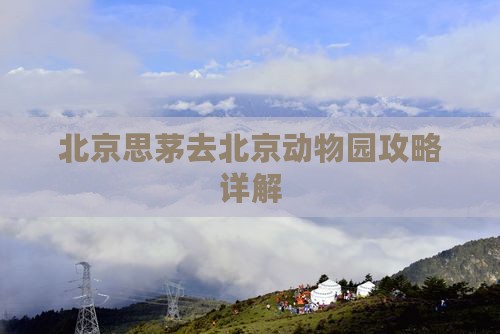 思茅去北京动物园攻略
