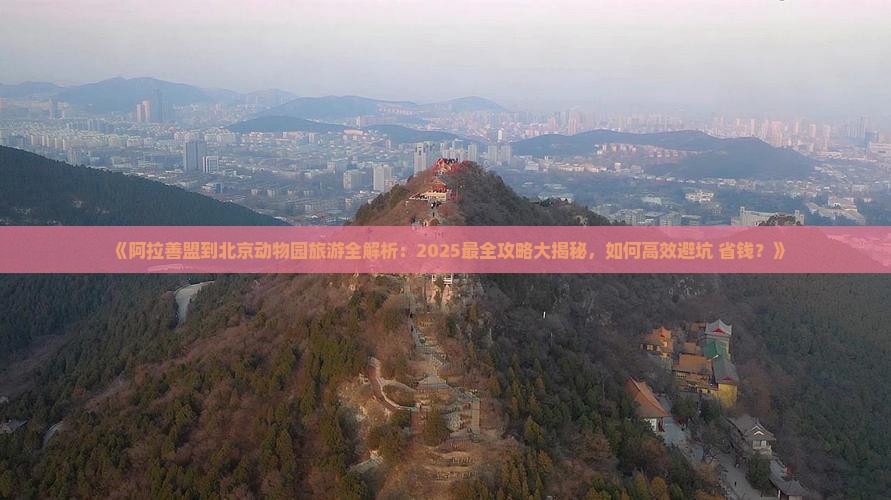 阿拉善盟去北京动物园旅游