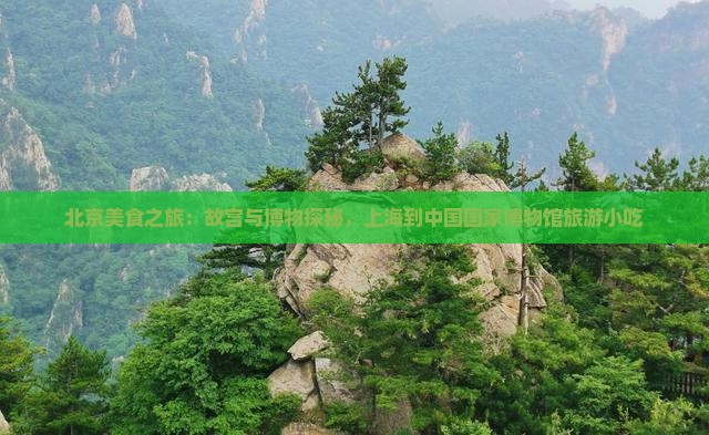 上海到北京中国国家博物馆旅游小吃