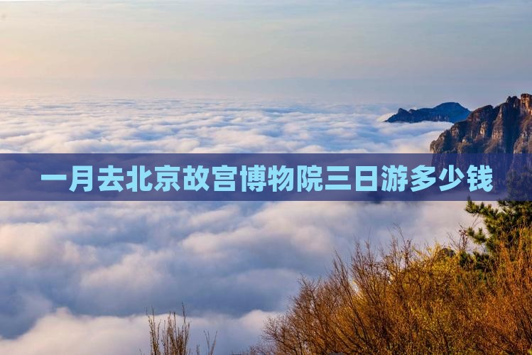 一月去北京故宫博物院三日游 一月去北京故宫博物院三日游