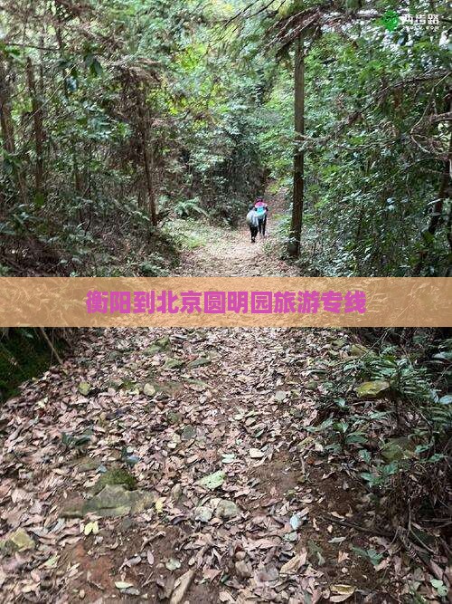 衡阳去北京圆明园遗址公园旅行社
