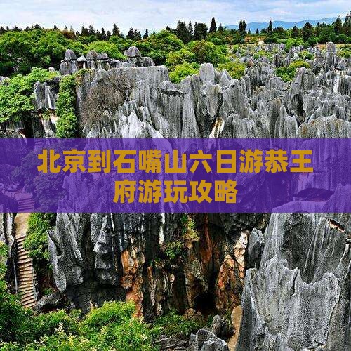 石嘴山到北京恭王府六日游
