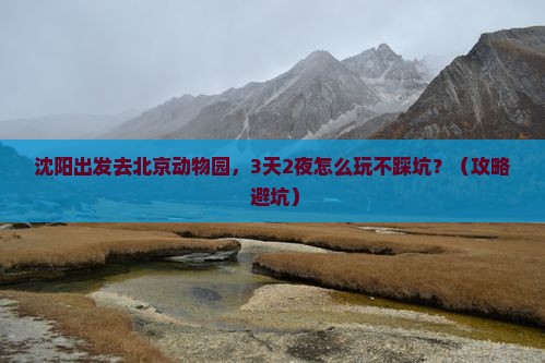 沈阳去北京动物园个人游