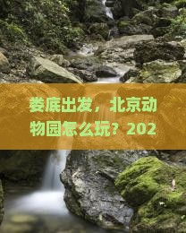 娄底到北京动物园旅行社