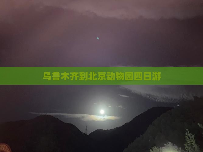 乌鲁木齐到北京动物园四日游