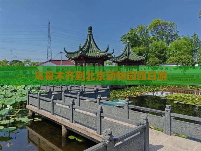 乌鲁木齐到北京动物园四日游