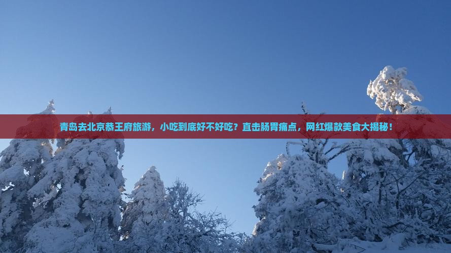 青岛去北京恭王府旅游小吃