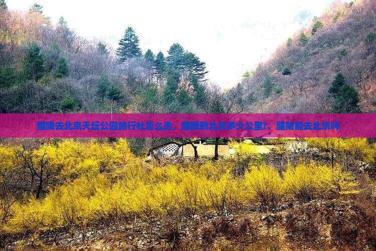 醴陵去北京天坛公园旅行社