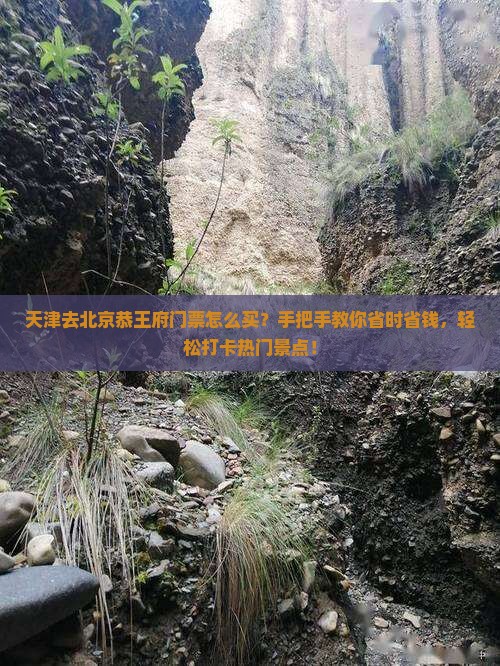天津去北京恭王府门票