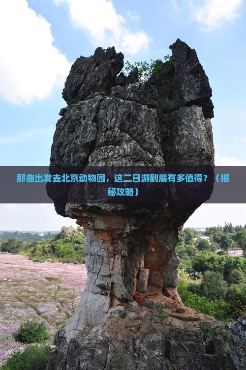 那曲去北京动物园二日游