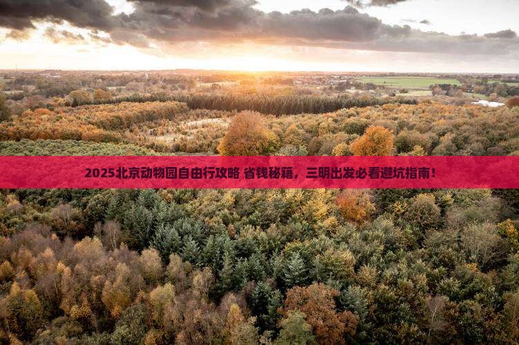 三明去北京动物园自由团
