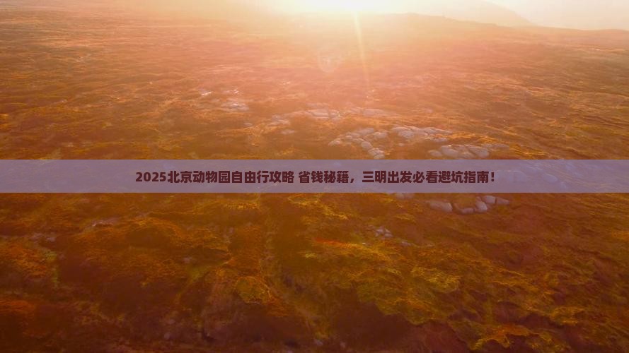 三明去北京动物园自由团