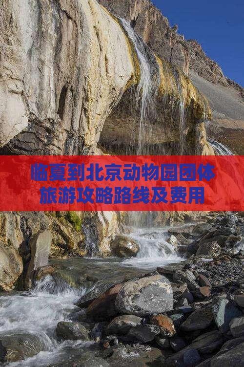 临夏到北京动物园团体旅游