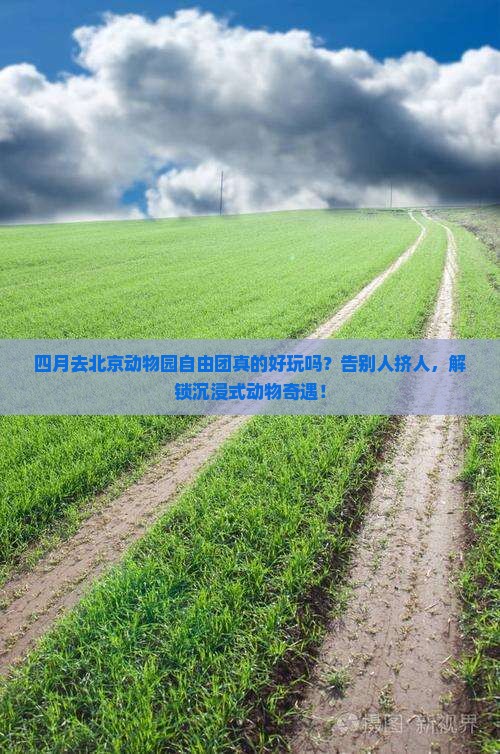四月去北京动物园自由团