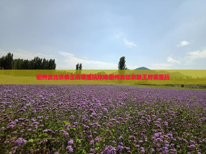 衢州去北京恭王府哪里玩