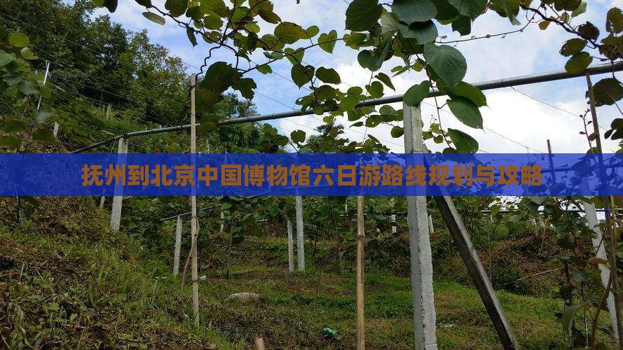 抚州到北京中国国家博物馆六日游