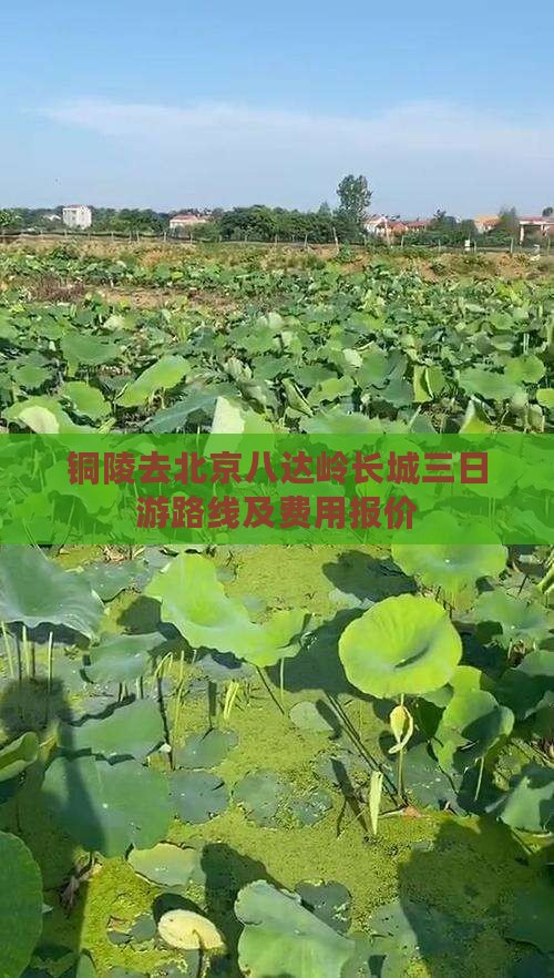 铜陵去北京八达岭长城三日游