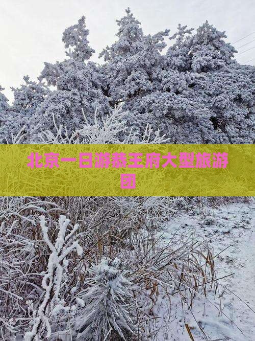 清明节去北京恭王府大型旅游团