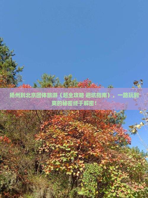 扬州到北京团体旅游
