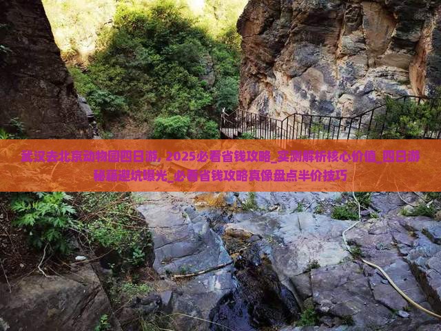 武汉去北京动物园四日游