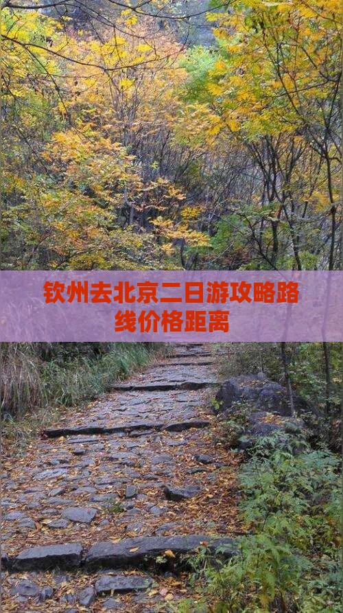 钦州去北京二日游